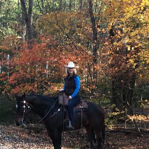 Meet your Posher, Donna